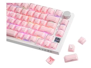 https://m.media-amazon.com/images/S/aplus-media-library-service-media/595f7b65-1bd6-4118-af76-aa4501018850.__CR0,200,1600,1200_PT0_SX300_V1___.png