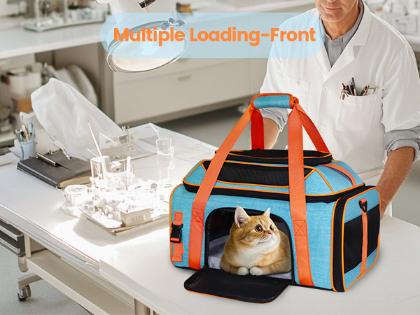 Mutiple toadina-Front