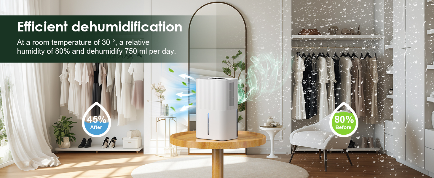 Mini dehumidifier for closet to protect clothes from moisture and musty smells