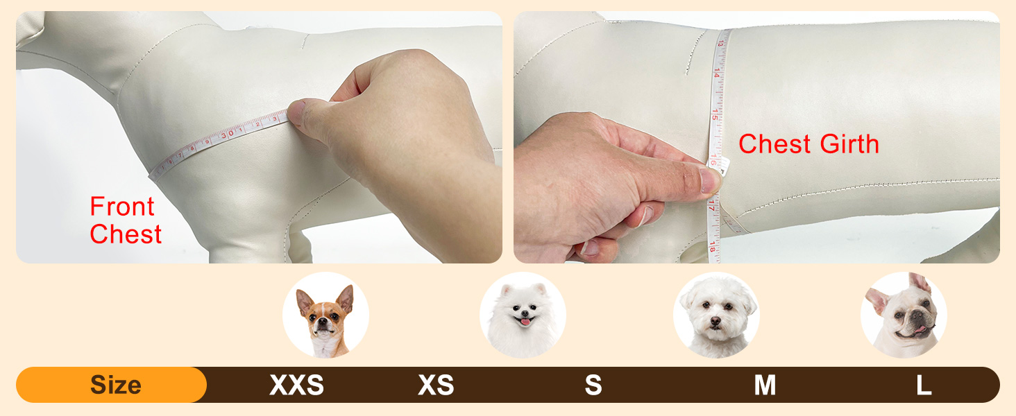 dog harness