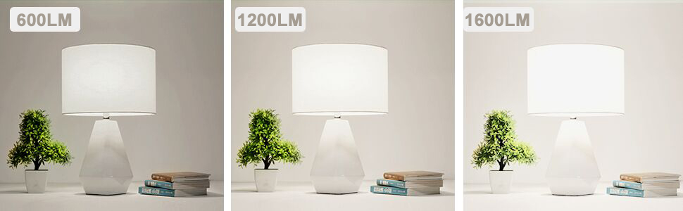 3 Way LED Light Bulbs