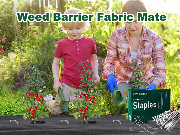 landscape staples