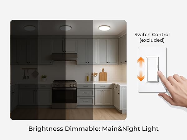 dimmable ceiling light