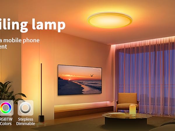 SMART CEILING LAMP