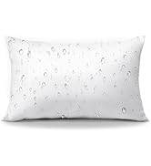 OTOSTAR Waterproof Pillows Insert, 12 x 20 Outdoor Decorative Throw Pillow Insert Soft Fluffy Plu...