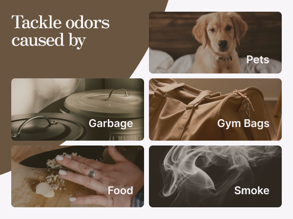 tackle odors caused by garbage, pets, gym bags, smoke, and food