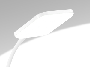 Desk Lamp