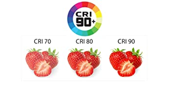 sdsd