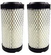 GaeaAuto Air Filter Pack of 2 Fit for NAPA 6449 / Baldwin RS3715 / Fleetguard AF25550 / WIX 46449...