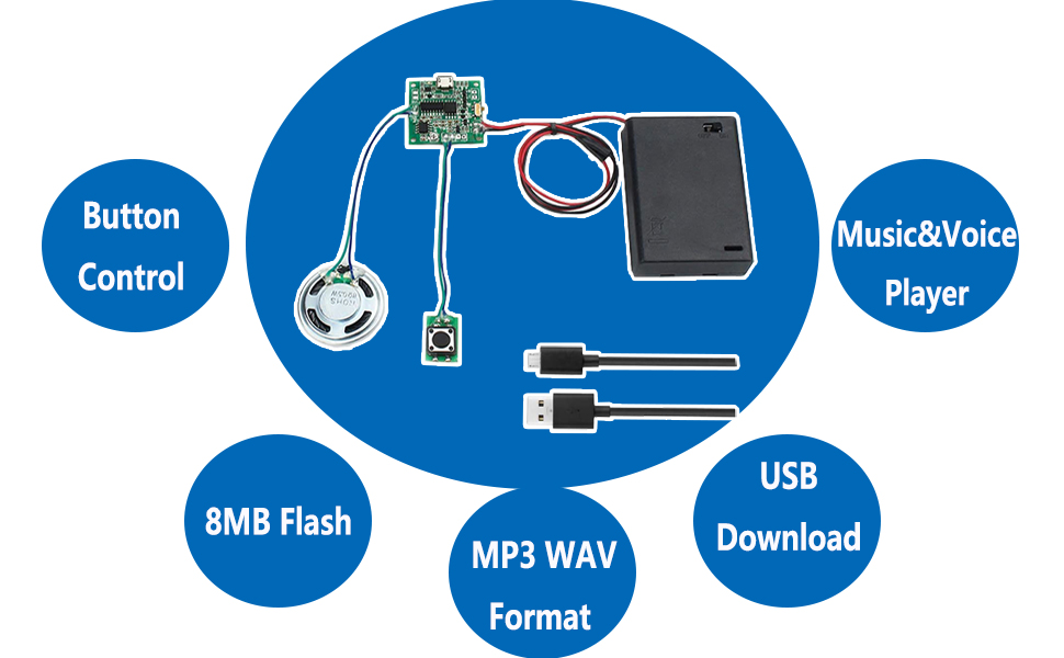 sound recording module