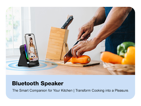 Wireless Induction Speaker