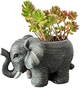 Wjwumha Plant Pot Garden Planter Desktop Ornament Cactus Succulent Flower Pots for Home Office Decor