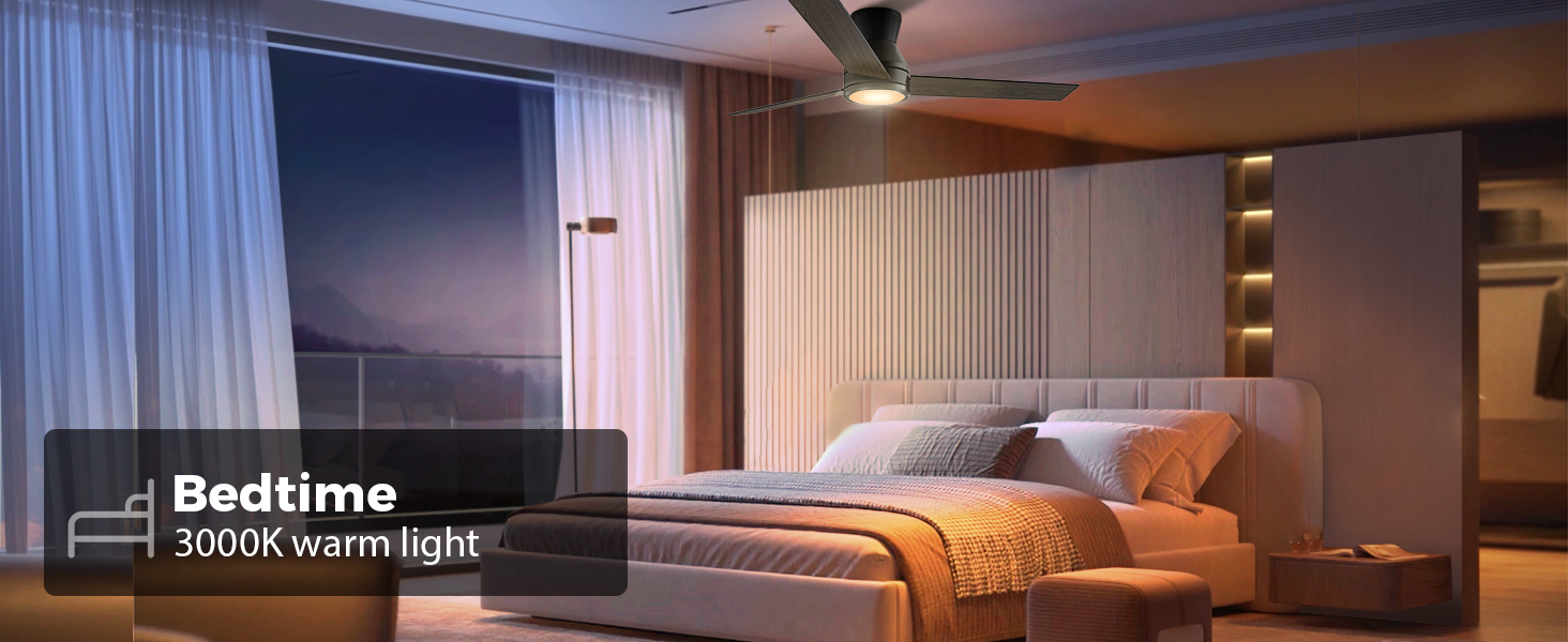 Ceiling Fans with Lights