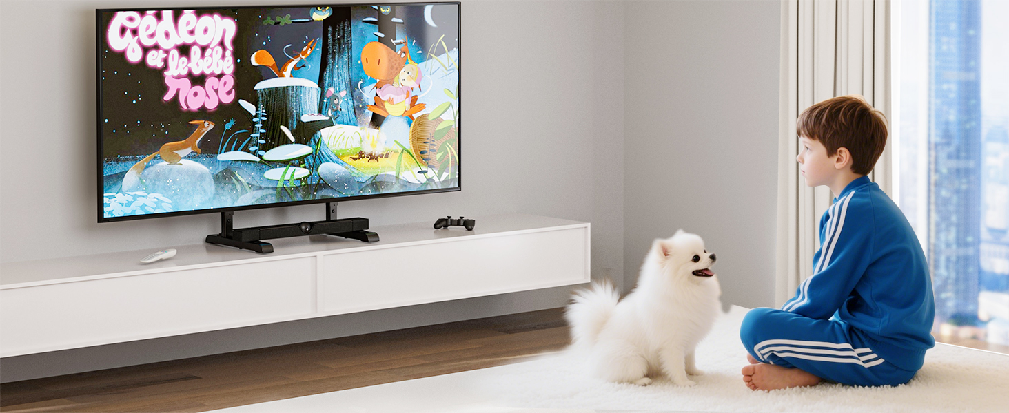 tv feet for 65 inch tv