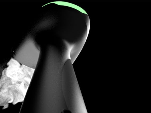 travel garment steamer