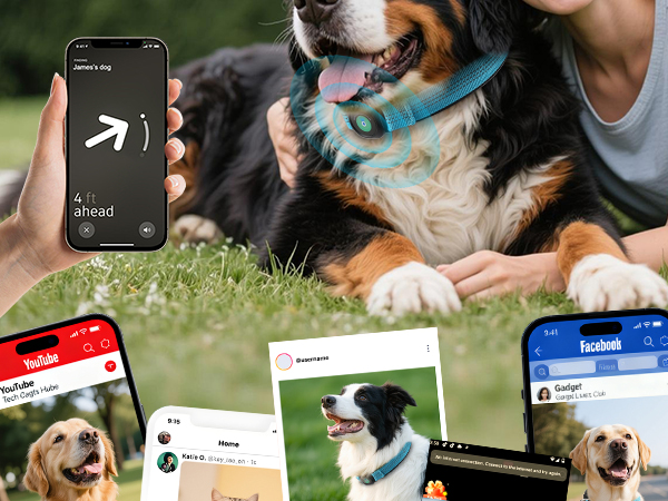 dog tracker gps