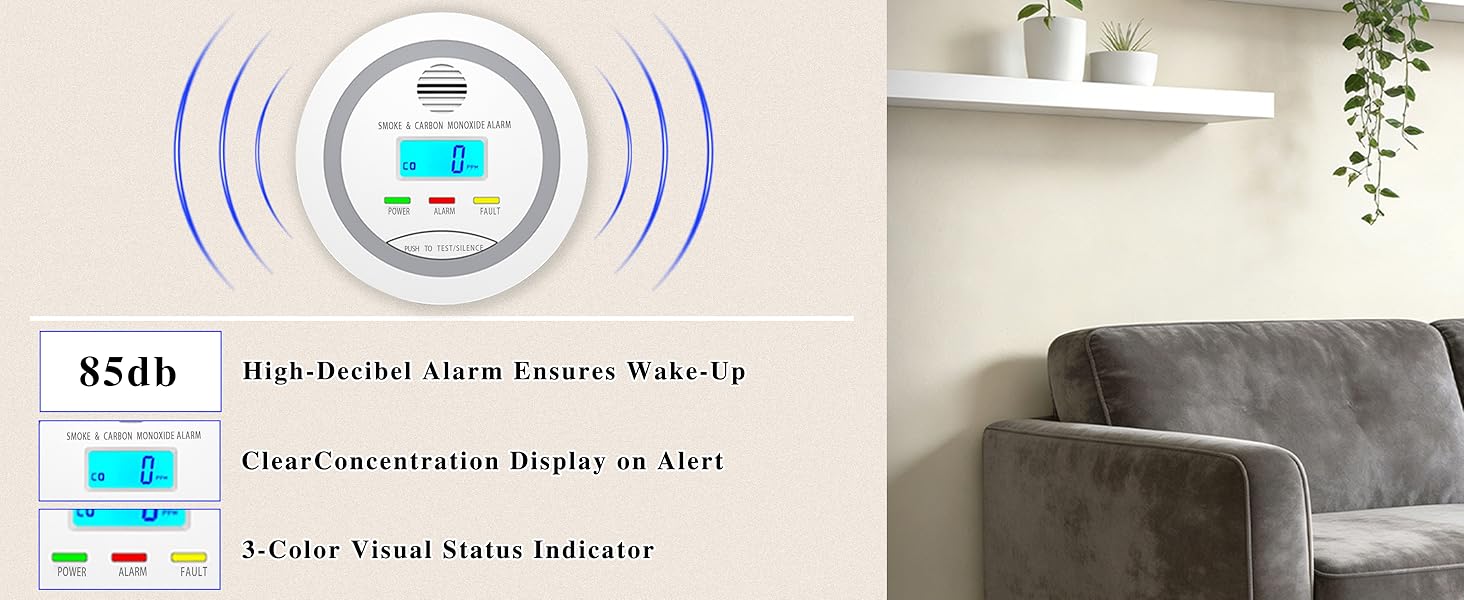 portable carbon monoxide detector