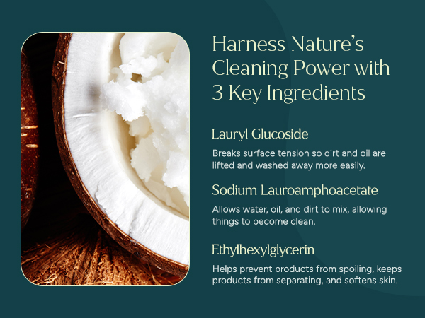 Close-up of a coconut showcasing Lauryl Glucoside and Sodium Lauroamphoacetate ingredients.