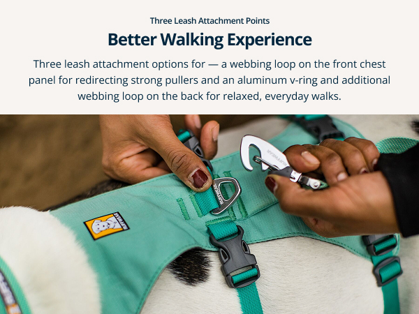 Strong dog harness heavy duty design for confident control and all-day comfort.