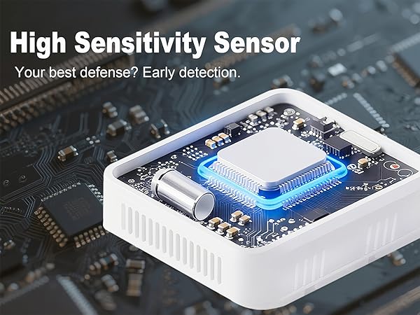 portable carbon monoxide detector