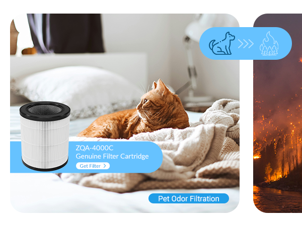 Air purifier for home