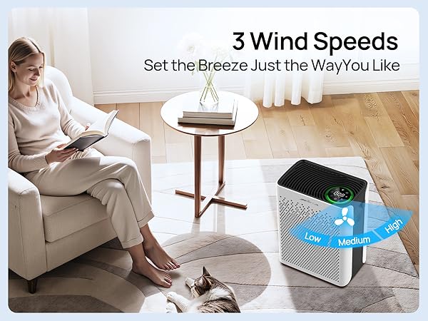 smoke air purifier for smoking indoors