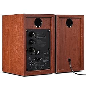 desktop speakers