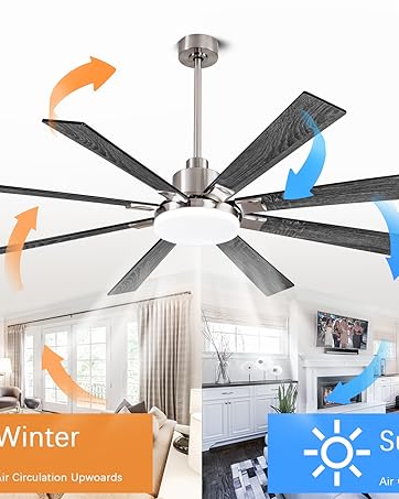 ceiling fan