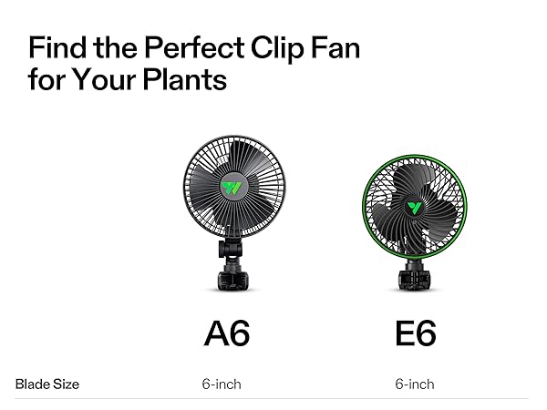 clip fan
