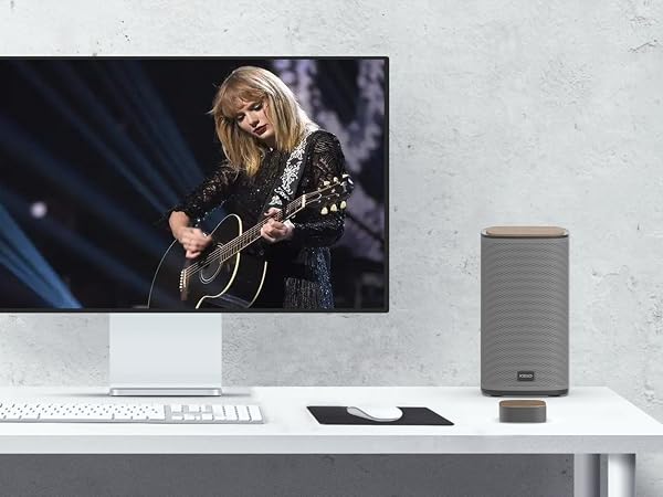computer speakers