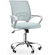 Basic Ergonomic Swivel Office Chair, Black Desk Chair, Executive Chair - Breathable Mesh Backrest...