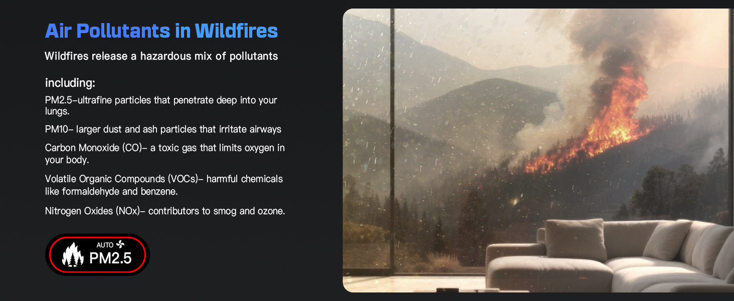 air purifiers