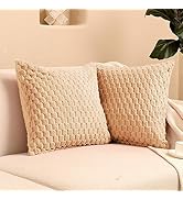 FY FIBER HOUSE Pack of 2 Fuzzy Throw Pillow Covers Soft Decorative Couch Pillow Covers Home Decor...