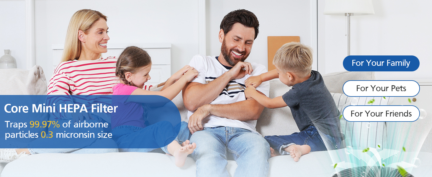 Core mini replacement filter