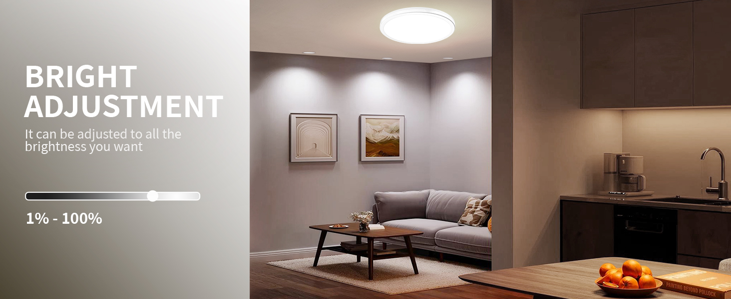 smart ceiling light