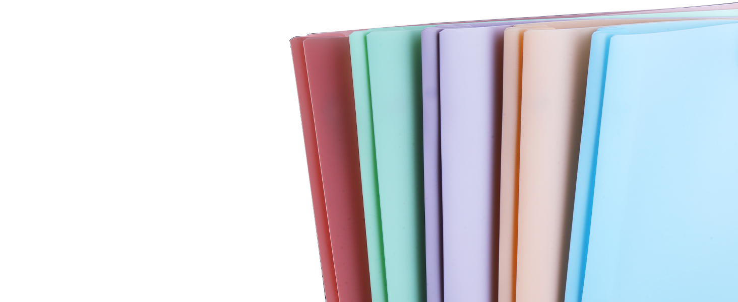 Two Pocket Folder with Prongs