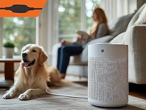 Application of black power extension cord in home humidifier