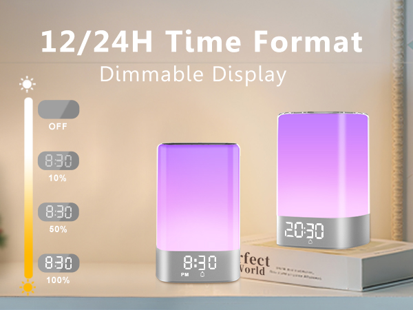12/24H Format Switch &amp;amp; Dimmable display