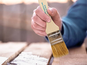 Chip Brush