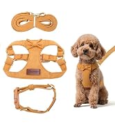 Dog Vest Harness Collar and Leash Set, No Pull Pet Vest Harnesses with 4.9ft Leash &amp; Safety Buckl...