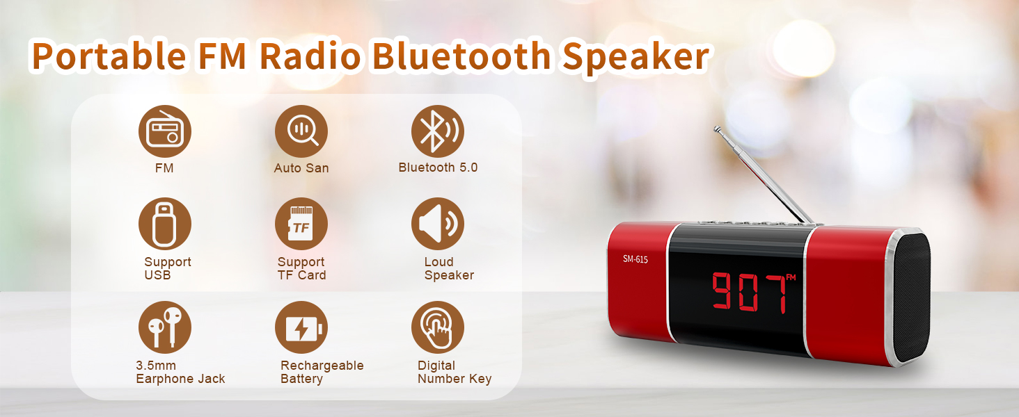 FM Radio Bluetooth Speaker