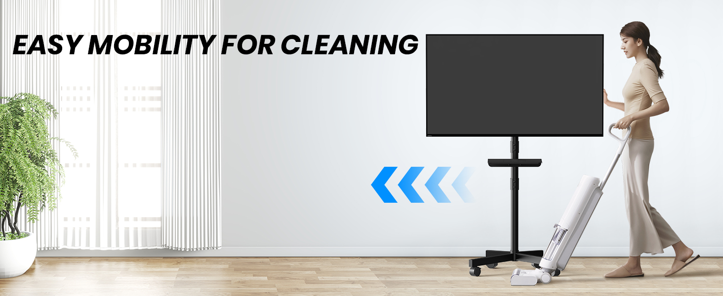 Mobile TV Cart