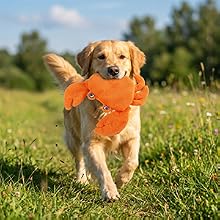 plush squeaky dog toys