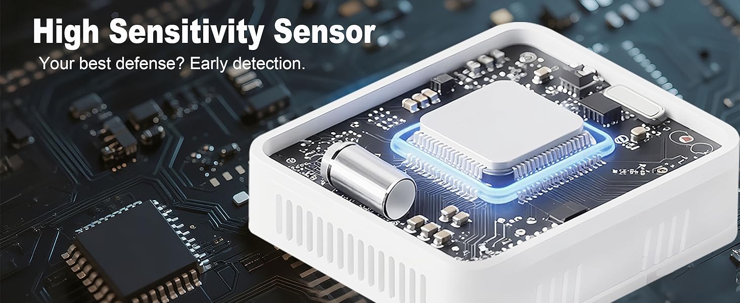 portable carbon monoxide detector