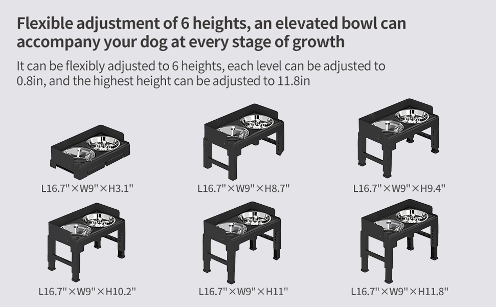 Elevated Dog Bowls