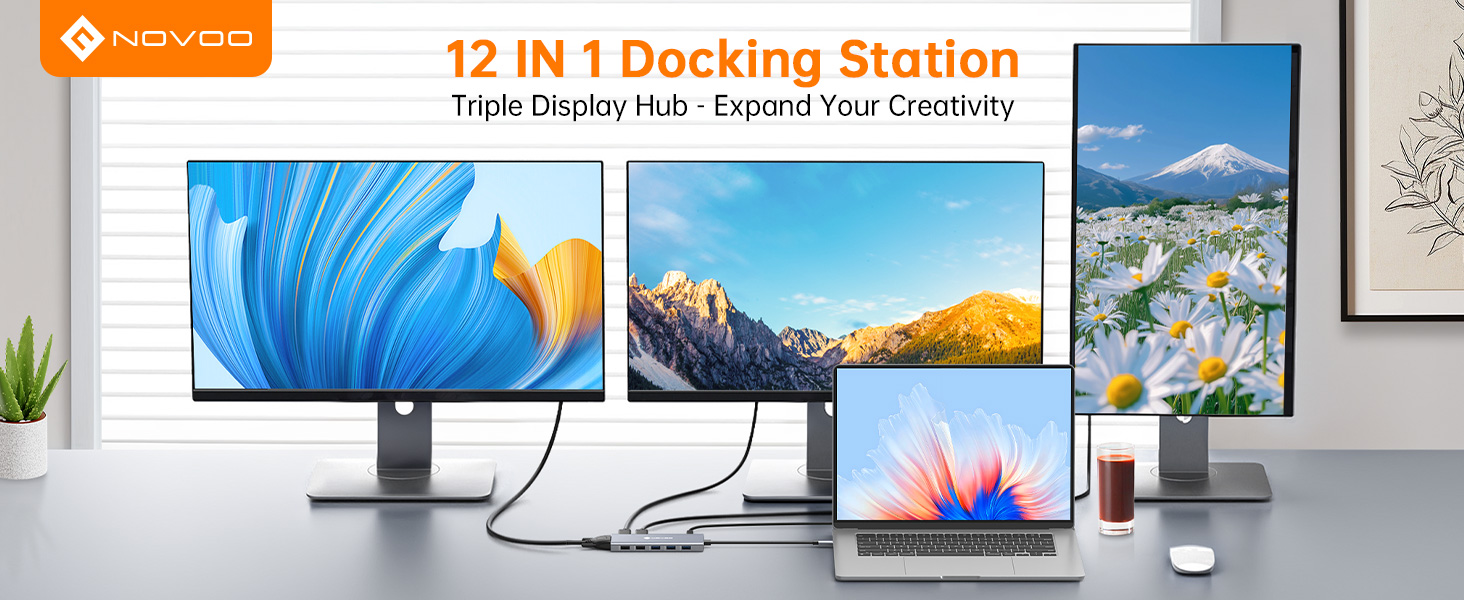 USB C DOCKING STATION