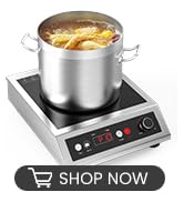 induction cooker