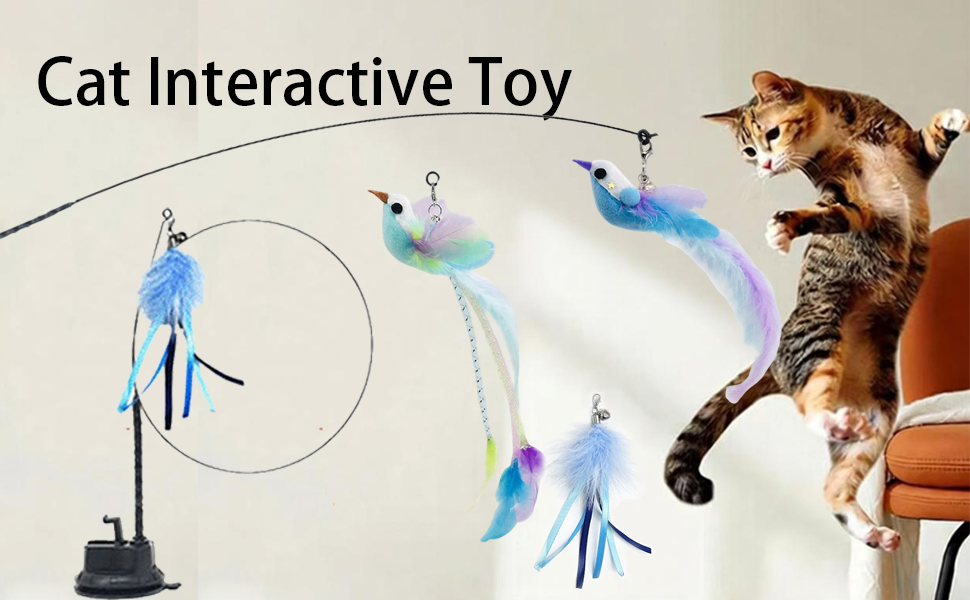 cat toys