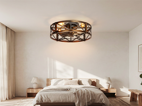 Caged Ceiling Fan with Light and Remote