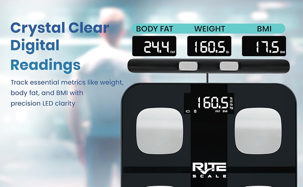 body composition scale